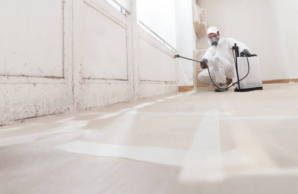 24/7 Emergency Mold Testing experts in Alexandria, VA