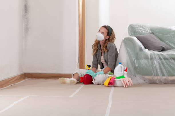Reliable Mold Remediation contractor in Alexandria, VA by Cheap Mold Removal